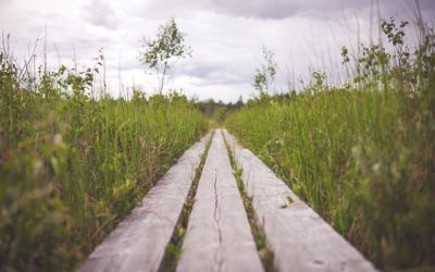 4 Steps to Stop Living THE Dream and Start Living YOUR Dream.