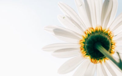 Perseverance and second chances