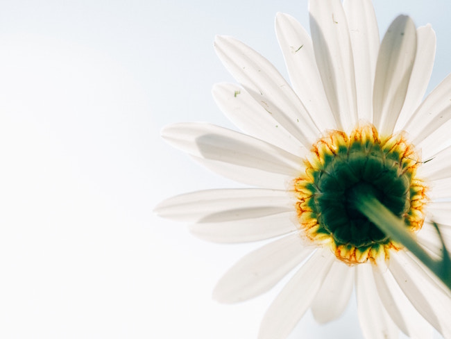 Perseverance and second chances