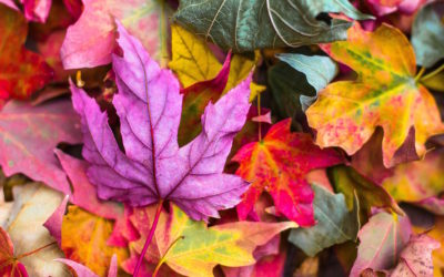 3 Ways to Handle Change