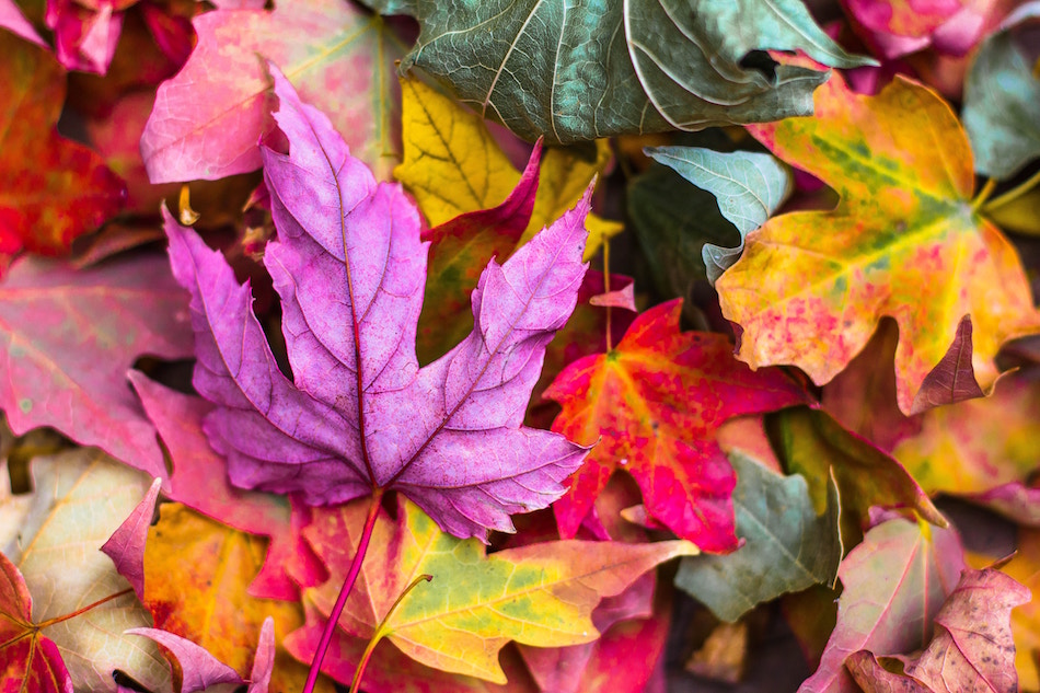 3 Ways to Handle Change