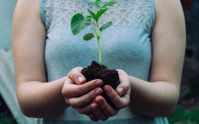 Are you ready to grow?