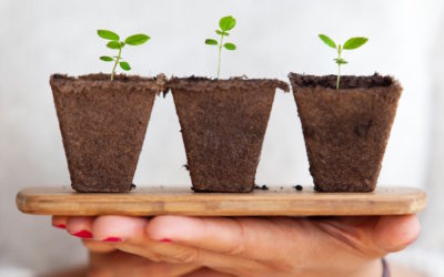 Do you choose to grow or throw?
