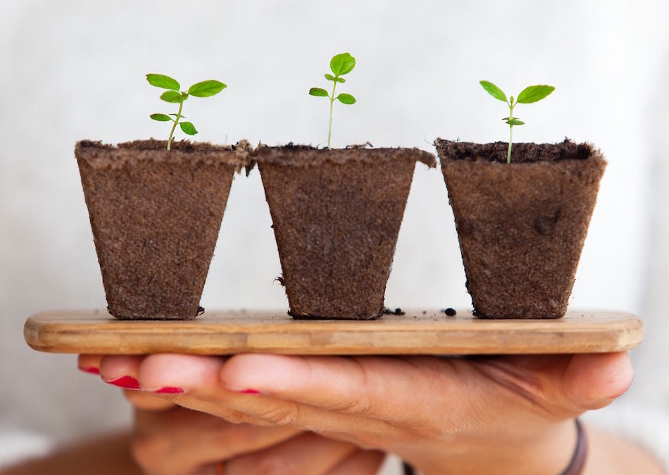 Do you choose to grow or throw?